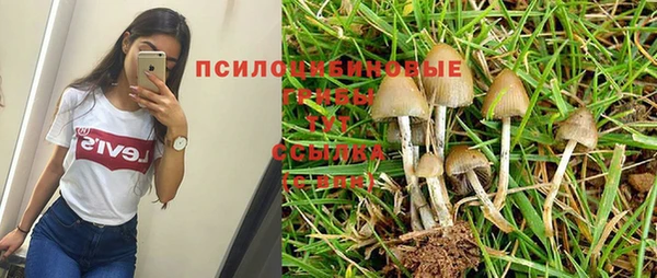 кокаин Алексеевка