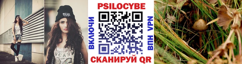 Псилоцибиновые грибы прущие грибы Иланский